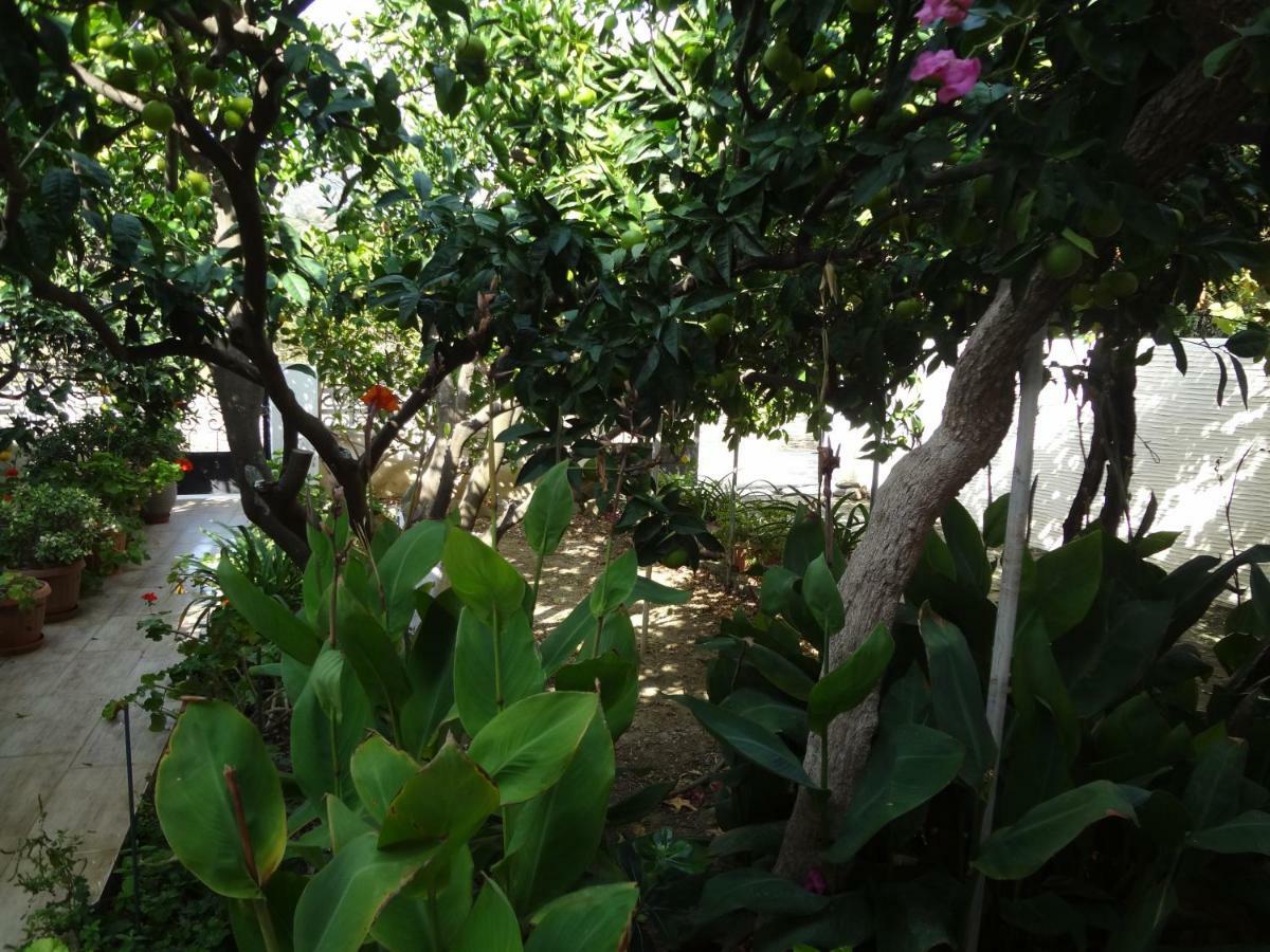Cozy Citrus Garden House By The Seaside. Villa Chones Ngoại thất bức ảnh